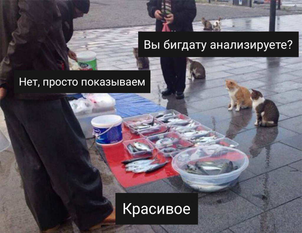 455531eb8b4d0924677c4fe9a7369b35.jpg